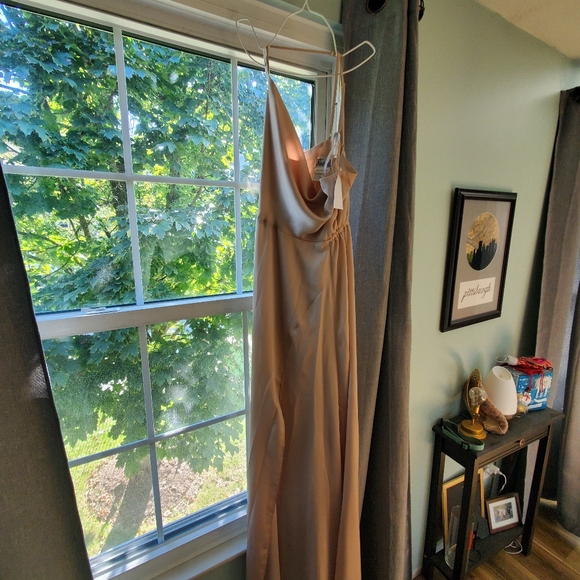 The Dessy Group Style TH098. Champagne Color. Never worn and not altered - Picture 10 of 10